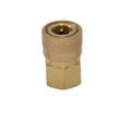 1/8" Brass ST Female QD - CleanCo
